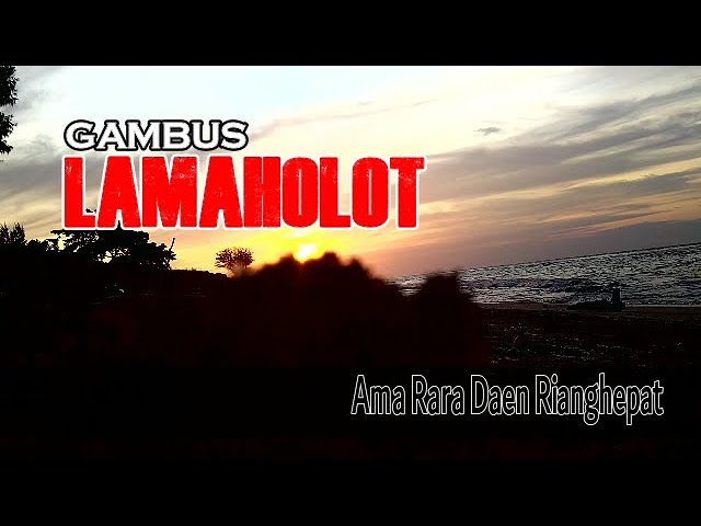 Musik gambus unik adonara,lamaholot terpopuler class=