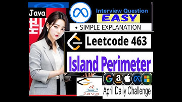 LeetCode 463: Island Perimeter | Java Code Tutorial | Developer Coder