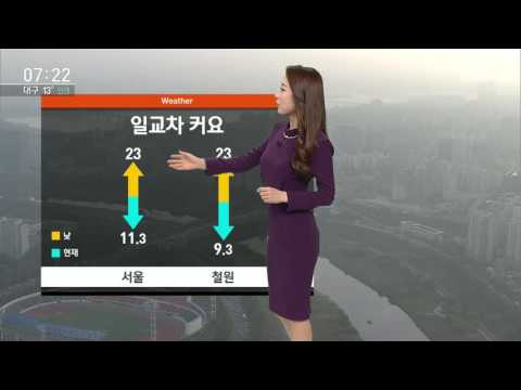 [날씨] 짙은 안개…미세먼지 농도 '일시 높음' / SBS