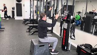 Famous Seated Alternating Cable Pulldown Wealth