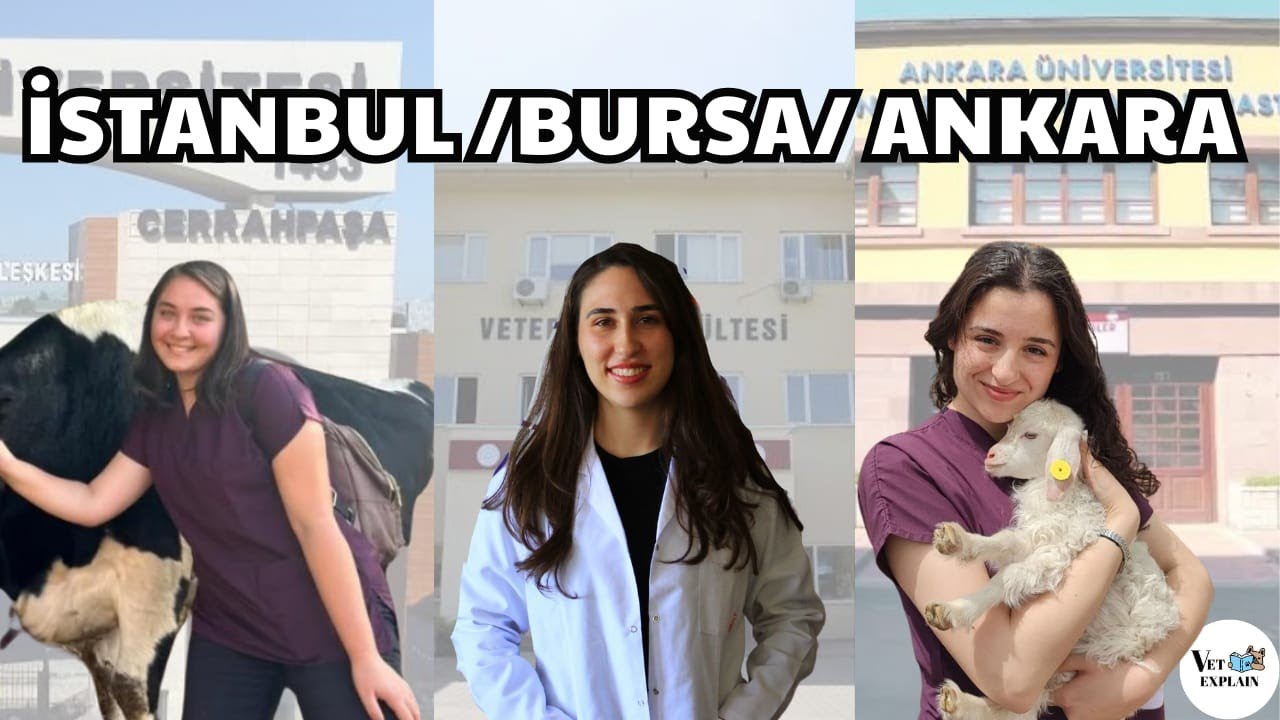 İstanbul, Bursa ve Ankara'daki Veteriner Fakültelerini Karşılaştırıyoruz !