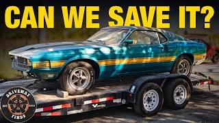 This 1969 Shelby GT 500 has been sitting for 30 years. Can we get it driving again? | Driveway Finds