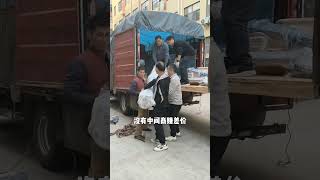 #KAEMI # Garment Cutting Machine # Computerized Cutting Bed # Daily shipment from the source Factory