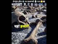 The Mystery of Roopkund Lake 🏔️💀❓ | #shorts #facts #mysteryfacts #factzone #uttarakhand