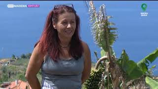 Gastronomia Local - Episodio - 14 - Temporada - Final - 2 - 29 Out 2022