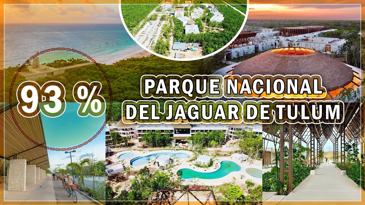A menos de un mes de concluir el Parque Nacional del Jaguar en agosto 2024, Tulum Quintana Roo