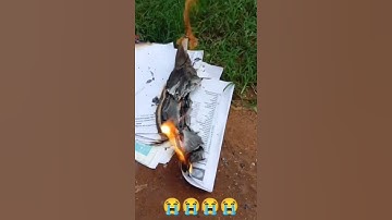 After Rejected on Army 🪖.         #army #armylover #armylife #sad #sadfeeling #viral #viralshorts