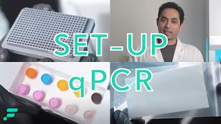 Set Up a qPCR Plate in 3 Simple Steps