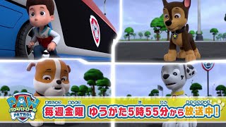 パウ・パトロール -PAW PATROL-｜公式サイト
