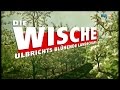 Die Wische - Ulbrichts blühende Landschaft [DOKU] (mdr 2o14)