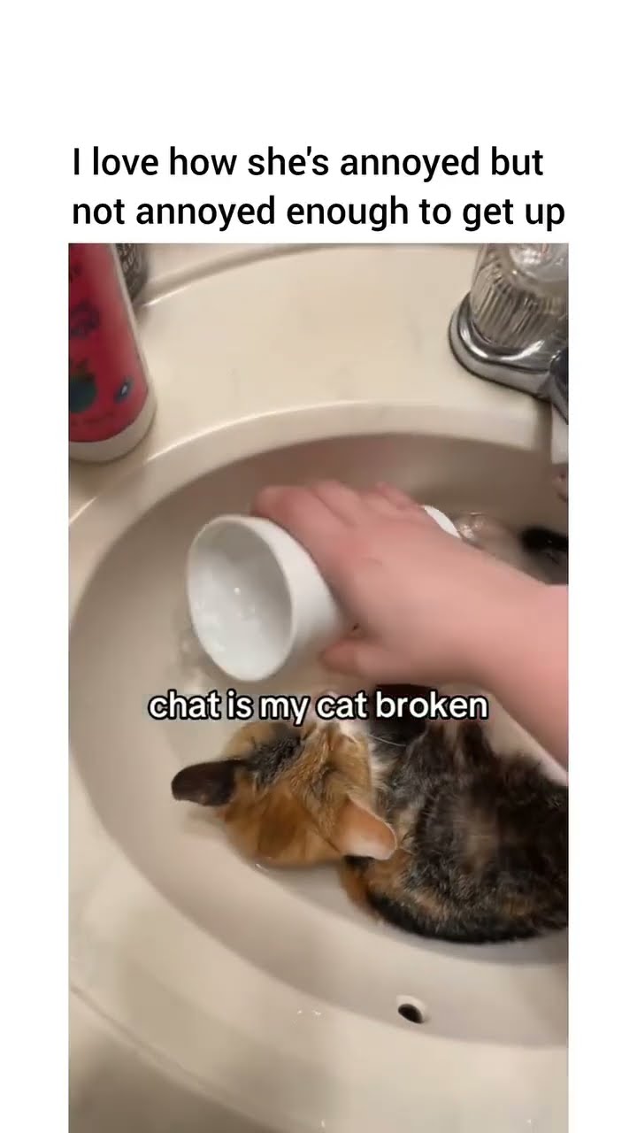Kittyo like man this is insane get that water off me twin