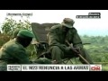 Rebeldes congoleses anuncian fin de lucha armada