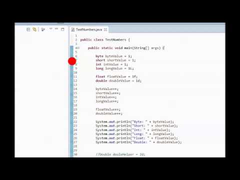 Java Tutorial 9 - Example of Primitive Types