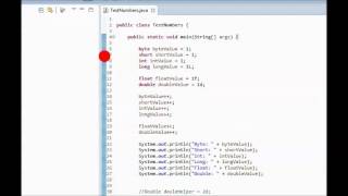 Java Tutorial 9 - Example of Primitive Types