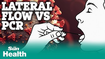 UK Covid 19: how do PCR and lateral flow tests work?