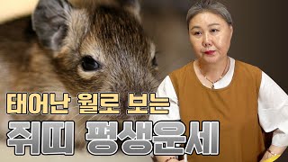 (용한점집) 태어난 월생으로 보는 ‘쥐띠 평생 운세’ [1월생~12월생]