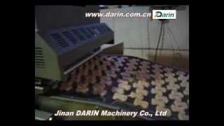 Chicken Nuggets Forming Machine Www.darin.com.cn