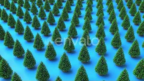 Christmas trees in brown baskets on blue background | Motion Graphics - Envato elements