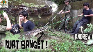 BUAYA SAKIT... Harus di tangkap bersama ANDREW dan TIM...