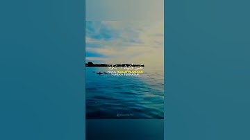 ايات بينات من الذكر الحكيم بصوت جميل جدا حالات واتس اب دينية قصيرة مؤثرة قرآن كريم تلاوة خاشعة انستا