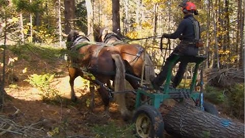 02/25/20 UVM Extension