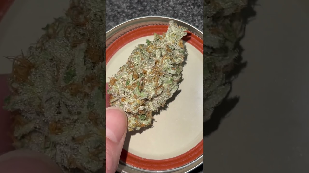 NEW REVIEWS ON THE WAY!! Go check main channel for the full length reviews, new one dropped today!