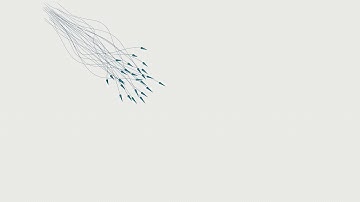 C4D Swarm Theory - X particles - 3d view Showing Alignment