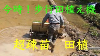 今時！歩行田植機 - YouTube