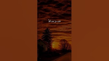 القارئ: سعد الغامدي ماتيسر من سورة النساء #قران#قران_كريم #سعد_الغامدي #سورة_النساء