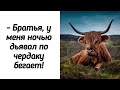 У СЕСТРЫ БЫЛА БУЙНАЯ КОРОВА, ЕЕ ПРИВОРОЖИЛА КОЛДУНЬЯ, ПОСЛЕ ЭТОГО ДЬЯВОЛ ВСЕЛИЛСЯ В ЕЕ ДОМ!