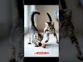 baby cat playing with ball #ai #trending #shorts #yt_shorts #ytfeed