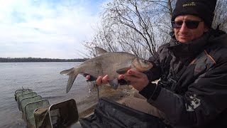 ЛЯЩ. Риболовля на Дніпрі🌊 в Квітні і гарна ПЛІТКА в прилові🐟