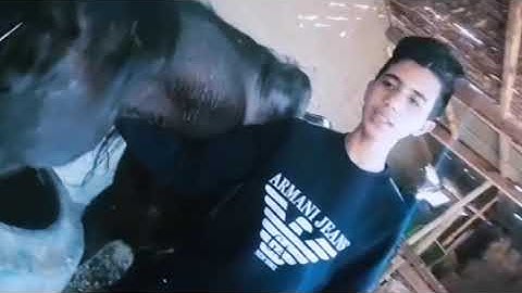 "والخيل🐎 والبغال والحمير لتركبوها وزينة ويخلق ما لا تعلمون "💙🍂 #سورة_النحل