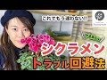 【知らないと枯らします!】シクラメンのトラブル回避法まとめました! #67