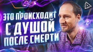 Это шокирует! Пробужденный раскрыл правду о реинкарнации душ - Антон Михайлов