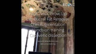 ECAMS hands-on training in face & necklifting