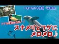 [ 関門海峡周遊の旅 ]　#6　しものせき水族館 海響館 ＆ 海峡ゆめタワー