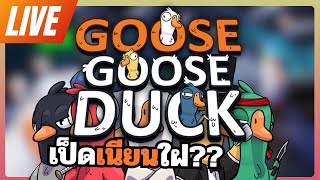 [Live🔴] บักเป็ดเดอร์ดัก Goose Goose Duck