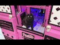 We built our cats a halloween barbie dream house