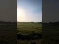Finding peace and beauty at Vellankanni ⛪💙" off to vellankanni #vellanki
