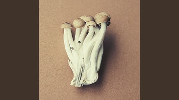 Pulsating Moods for Mental Health