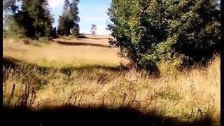 Parcela Coipue Km 25 Freire / Villarrica, Región de la Araucanía