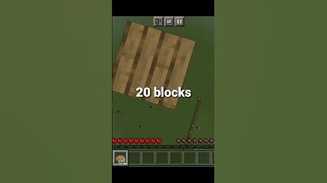 TOTEM OF UNDYING #shorts #minecraft