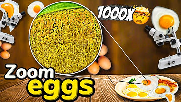 egg under the microscope (ZOOM×100) #science  #microbiology #microscopy