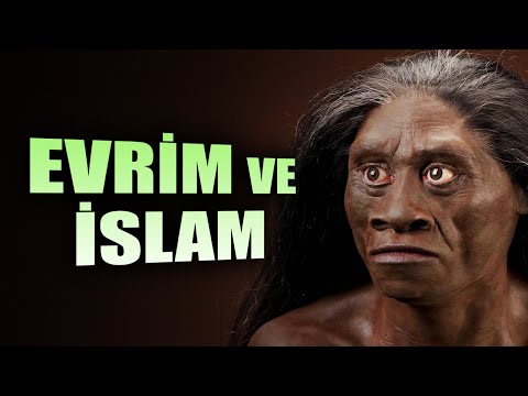 Evrim ve İslam / Evrim ve Yaratılış