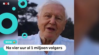 Bioloog (van 94 jaar!) verbreekt Instagram record
