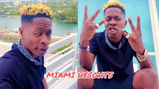 Shatta Wale Vibes To New Motivational Song In Miami. Miami Heights 🌊 🌴