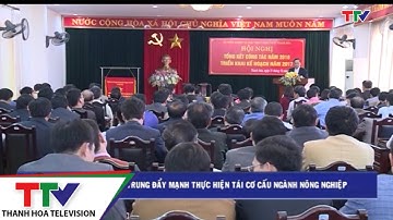 Tiếp tục tập trung đẩy mạnh thực hiện tái cơ cấu ngành nông nghiệp