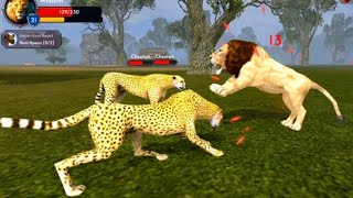 Wild Angry Lion V's Cruel World 🌎 Really Survival 🦁 The Lion  Animal Simulator screenshot 4