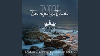 Video thumbnail of "Rondalla Cristiana Embajadores del Rey - Felicidad"